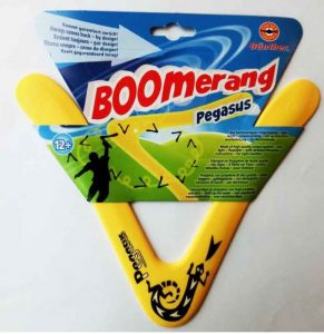 boomerang a 2 branches