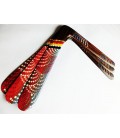 boomerang aborigène