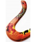 sydney boomerang